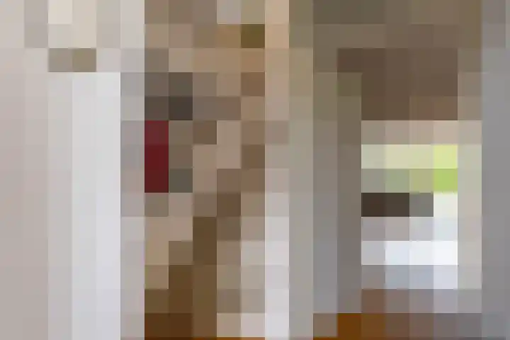 Van Ittersumstraat 9 Groningen thumbnail 31