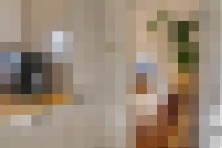 Van Ittersumstraat 91 Zwolle thumbnail 12