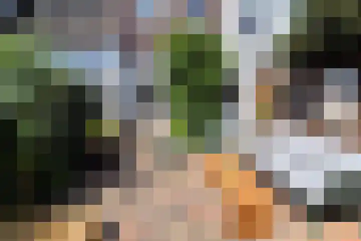 Van Ittersumstraat 91 Zwolle thumbnail 23