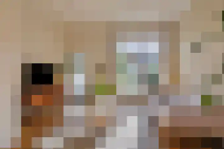 Van Ittersumstraat 91 Zwolle thumbnail 7