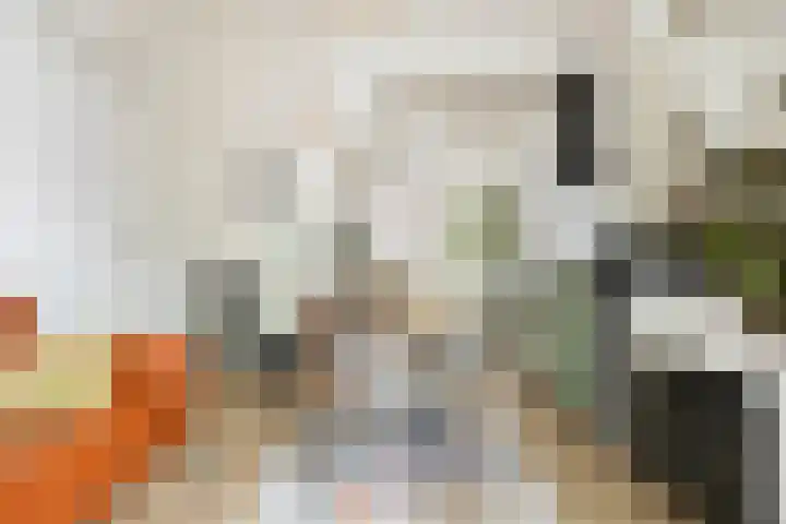 Van Julsinghastraat 17 Groningen thumbnail 10