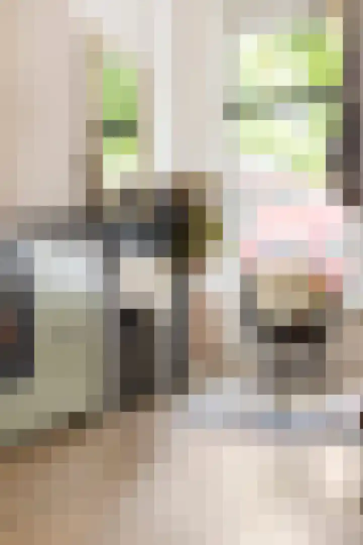 Van Julsinghastraat 17 Groningen thumbnail 17