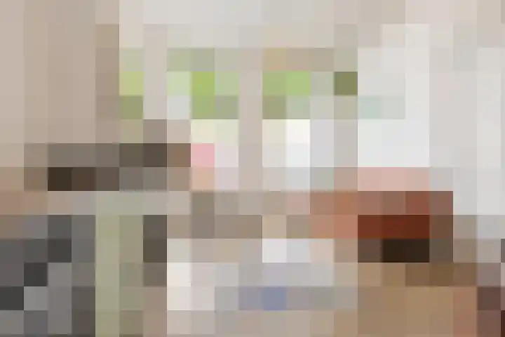 Van Julsinghastraat 17 Groningen thumbnail 18