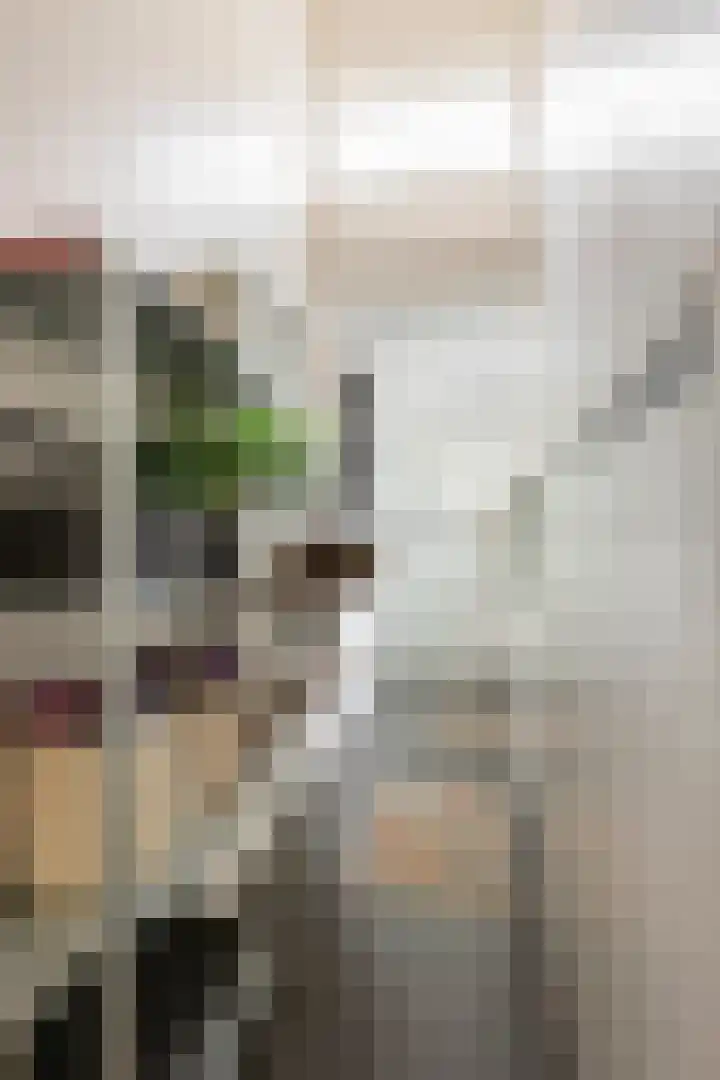 Van Julsinghastraat 17 Groningen thumbnail 28