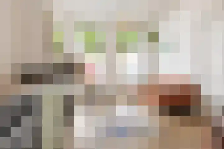 Van Julsinghastraat 17 Groningen thumbnail 4