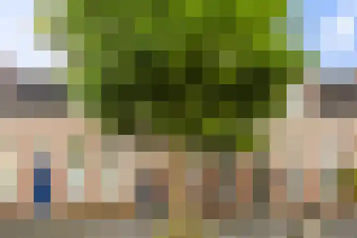 Van Julsinghastraat 17 Groningen thumbnail 5