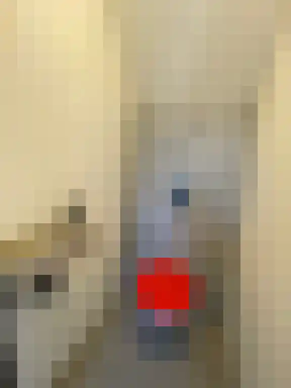 Van Julsinghastraat 27 Groningen thumbnail 6