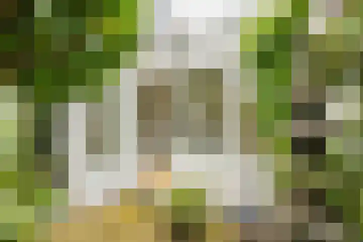 Van Julsinghastraat 36 Groningen thumbnail 23