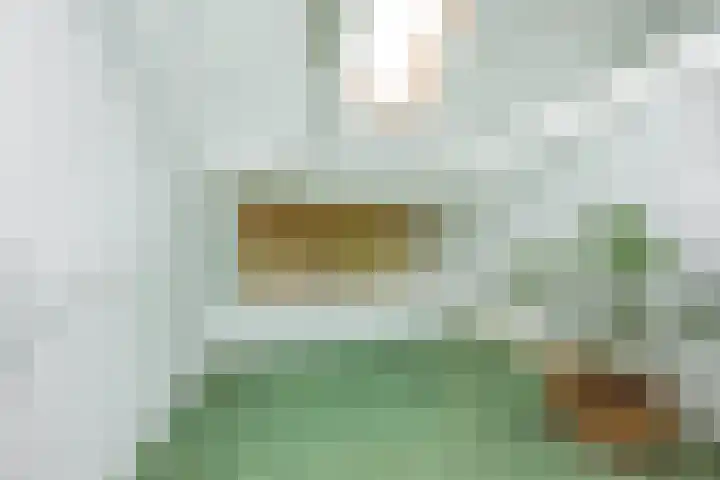 Van Julsinghastraat 36 Groningen thumbnail 30