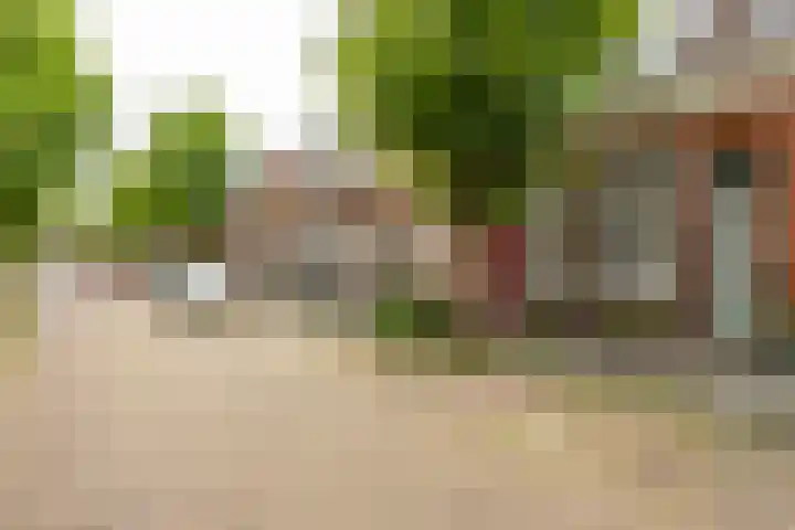 Van Julsinghastraat 36 Groningen thumbnail 33