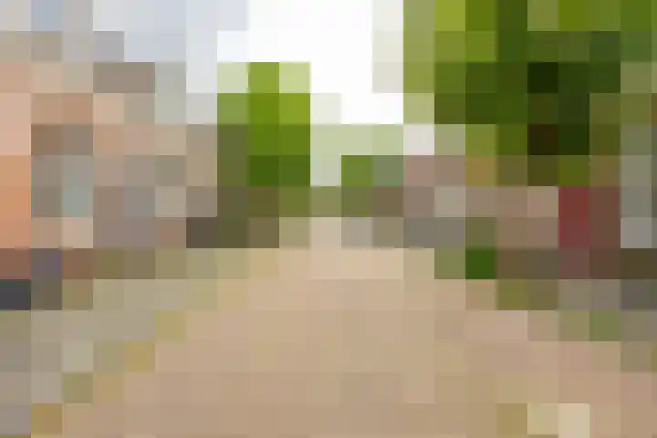 Van Julsinghastraat 36 Groningen thumbnail 34