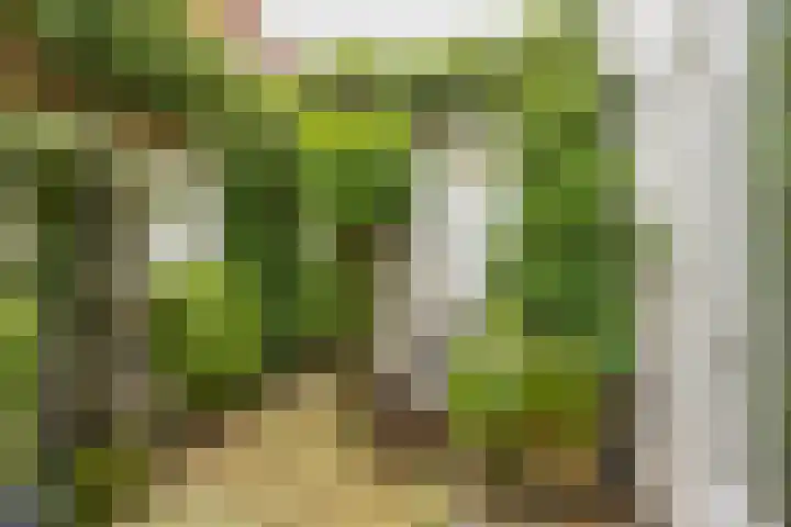 Van Julsinghastraat 36 Groningen thumbnail 6