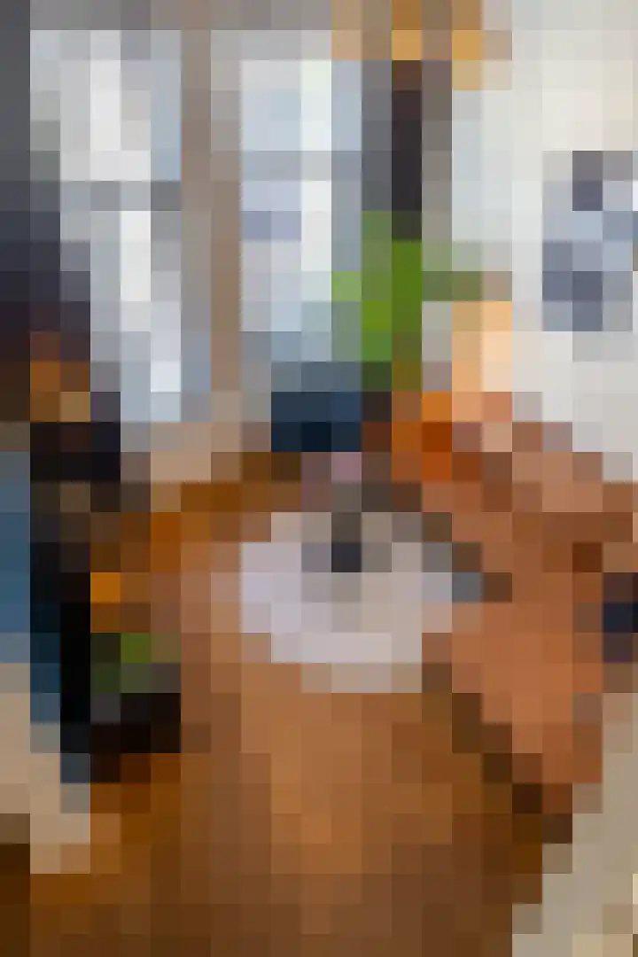 Van Julsinghastraat 41 Groningen thumbnail 11