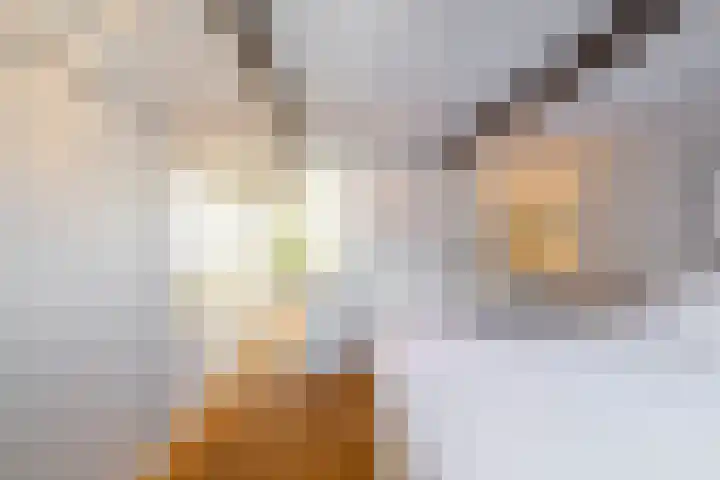 Van Julsinghastraat 41 Groningen thumbnail 23