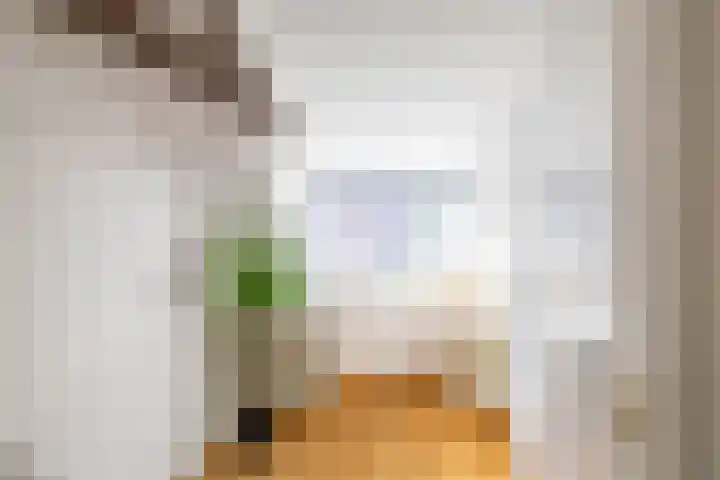 Van Julsinghastraat 41 Groningen thumbnail 25
