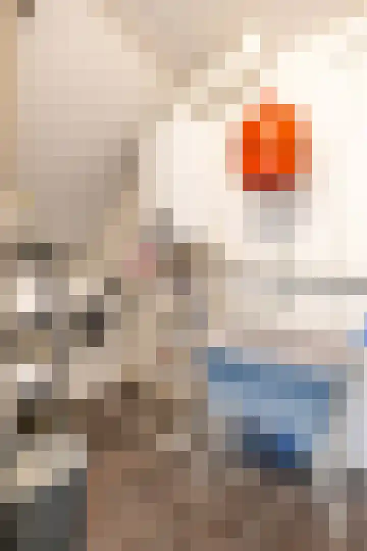 Van Julsinghastraat 41 Groningen thumbnail 28