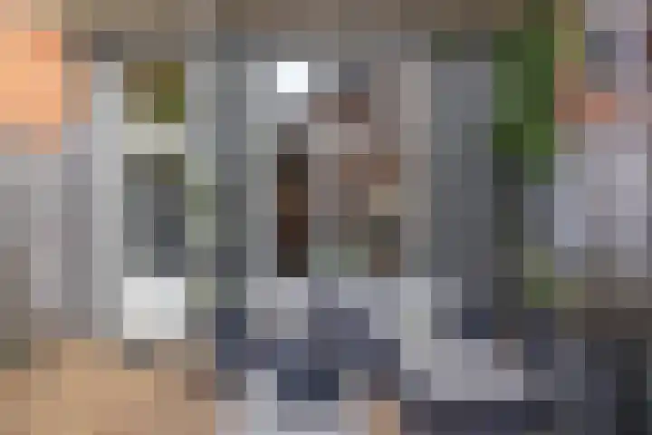 Van Julsinghastraat 41 Groningen thumbnail 32