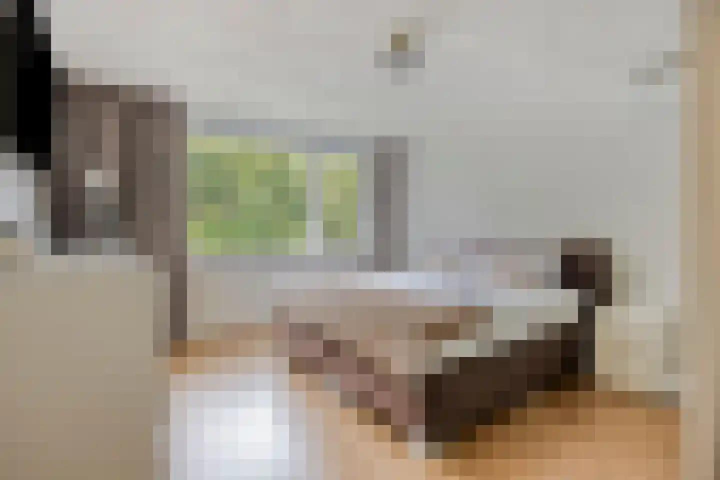Van Kalmthoutlaan 44 Tilburg thumbnail 17