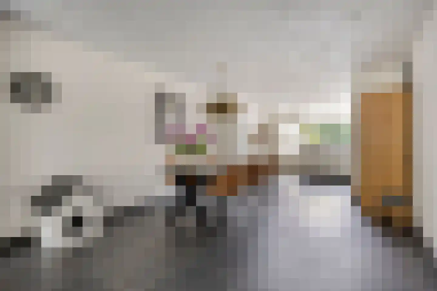 Van Kalmthoutlaan 44 Tilburg thumbnail 8