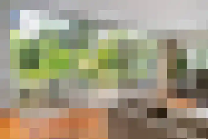Van Karnebeeklaan 4 Amersfoort thumbnail 12