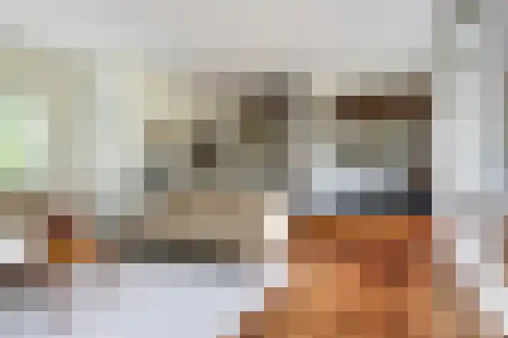 Van Karnebeeklaan 4 Amersfoort thumbnail 13
