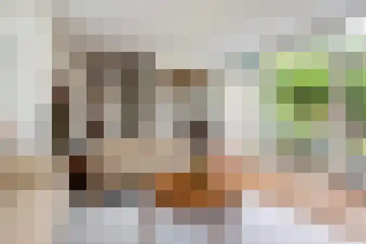 Van Karnebeeklaan 4 Amersfoort thumbnail 15