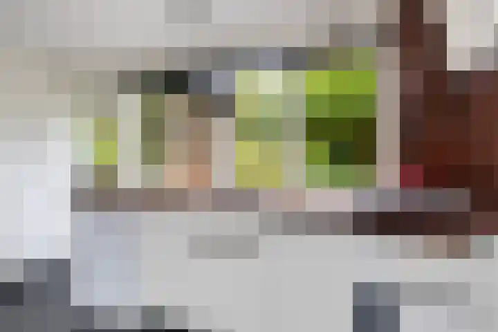 Van Karnebeeklaan 4 Amersfoort thumbnail 17
