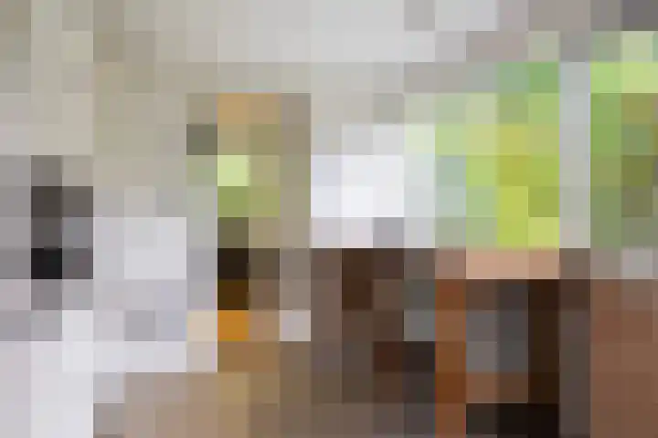 Van Karnebeeklaan 4 Amersfoort thumbnail 20