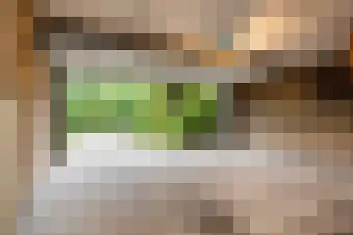 Van Karnebeeklaan 4 Amersfoort thumbnail 23