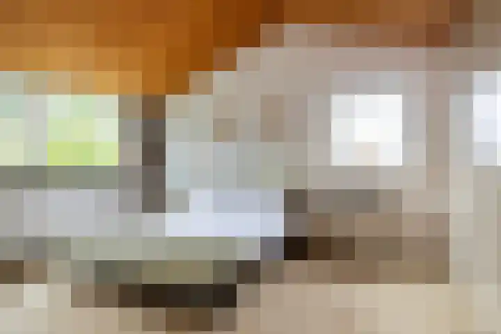 Van Karnebeeklaan 4 Amersfoort thumbnail 26