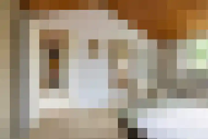 Van Karnebeeklaan 4 Amersfoort thumbnail 27