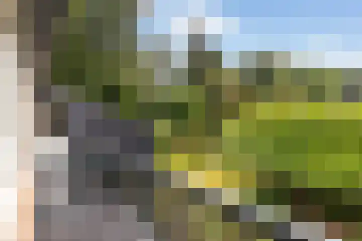 Van Karnebeeklaan 4 Amersfoort thumbnail 31
