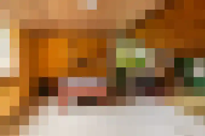Van Karnebeeklaan 4 Amersfoort thumbnail 34