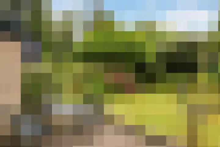 Van Karnebeeklaan 4 Amersfoort thumbnail 38