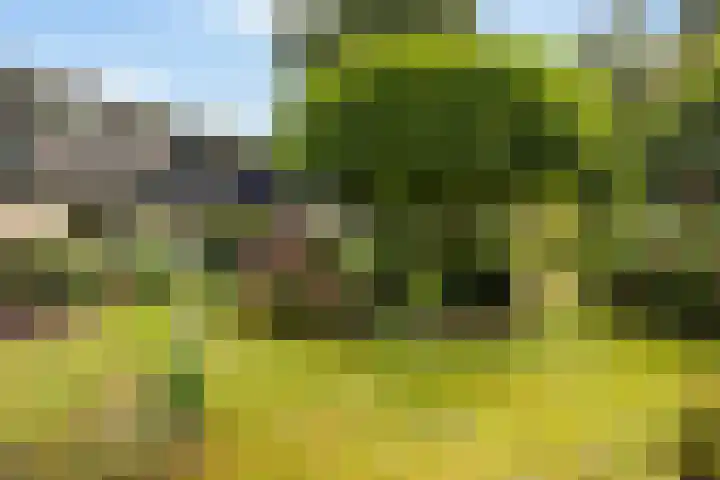 Van Karnebeeklaan 4 Amersfoort thumbnail 43