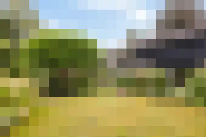 Van Karnebeeklaan 4 Amersfoort thumbnail 47