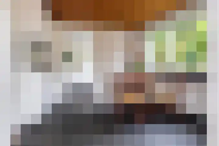 Van Karnebeeklaan 4 Amersfoort thumbnail 8