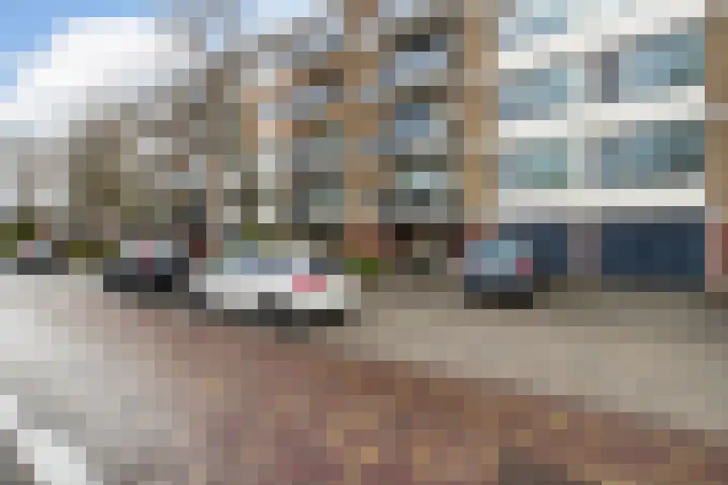 Van Karnebeekstraat 113 Dordrecht thumbnail 7
