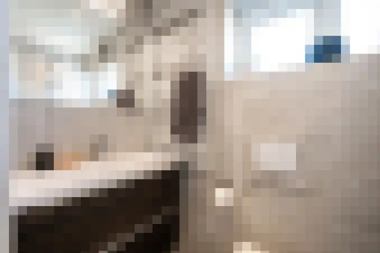 Van Karnebeekstraat 12 Oss thumbnail 22