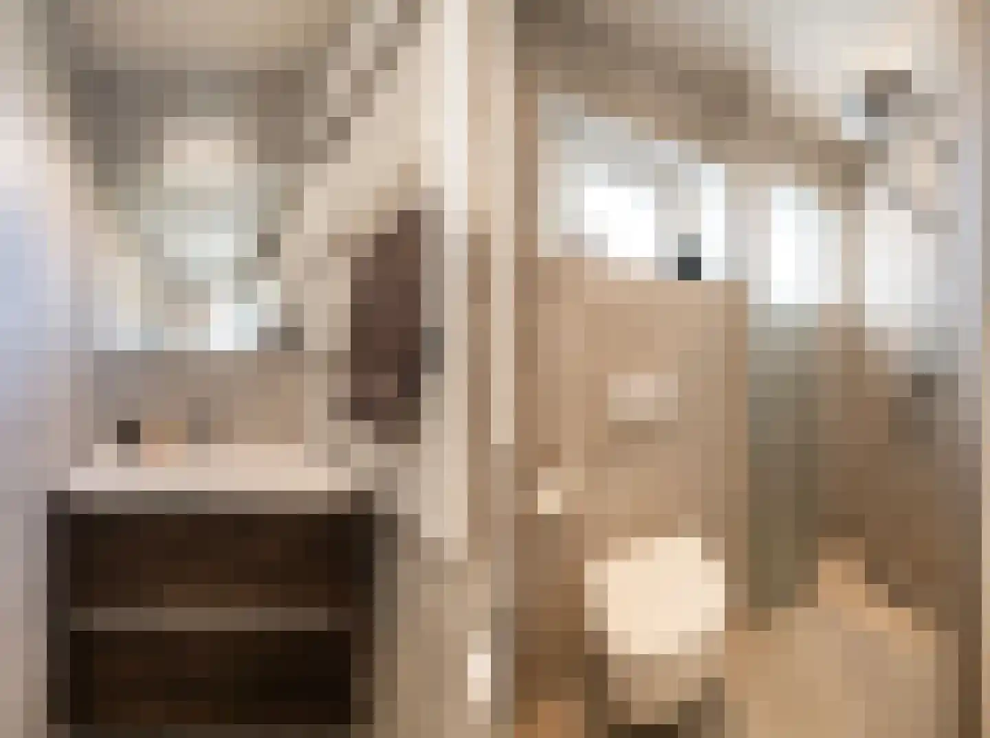 Van Karnebeekstraat 12 Oss thumbnail 23