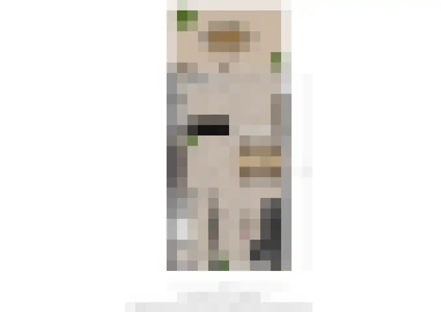 Van Karnebeekstraat 12 Oss thumbnail 32