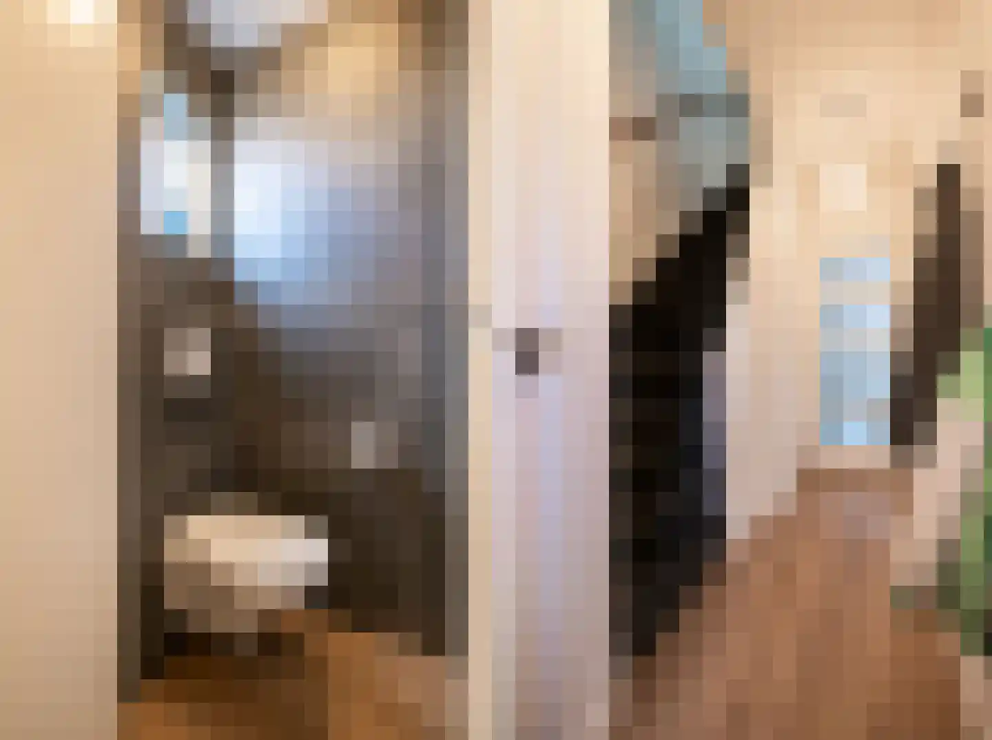 Van Karnebeekstraat 12 Oss thumbnail 7