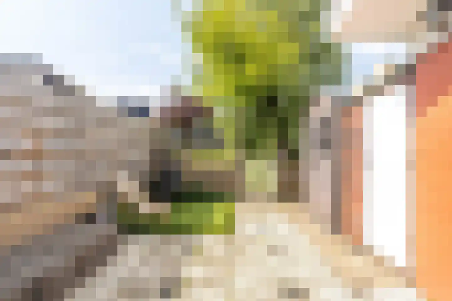 Van Karnebeekstraat 21 Amsterdam thumbnail 16
