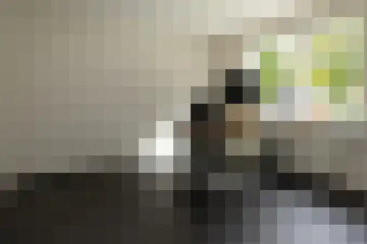 Van Karnebeekstraat 22 Nunspeet thumbnail 24