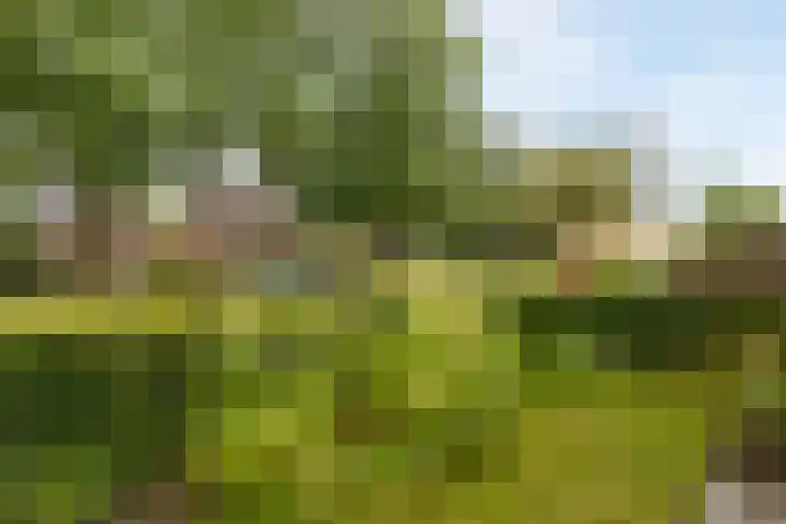 Van Karnebeekstraat 22 Nunspeet thumbnail 39