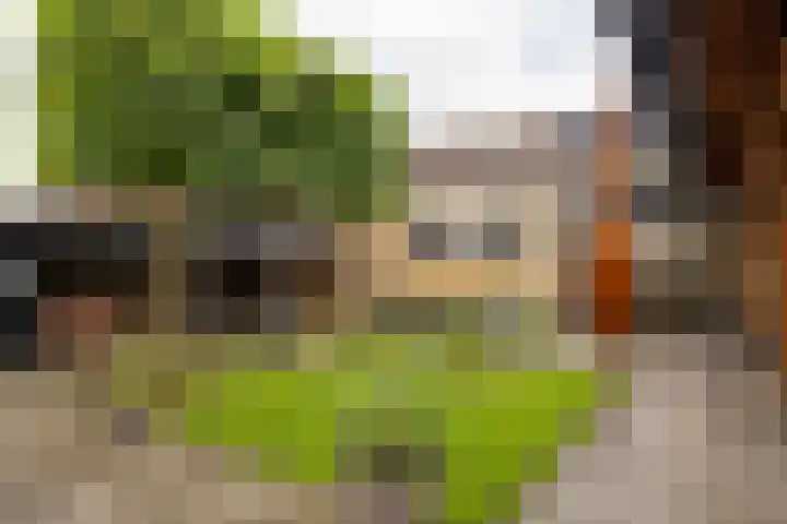 Van Karnebeekstraat 22 Nunspeet thumbnail 4