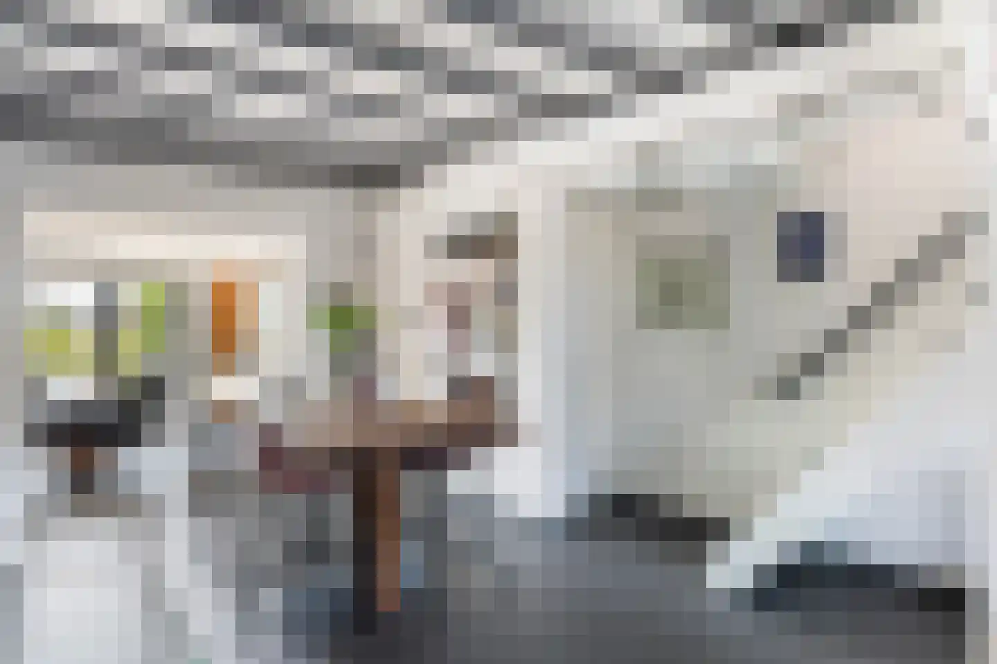 Van Karnebeekstraat 26 Zwolle thumbnail 21