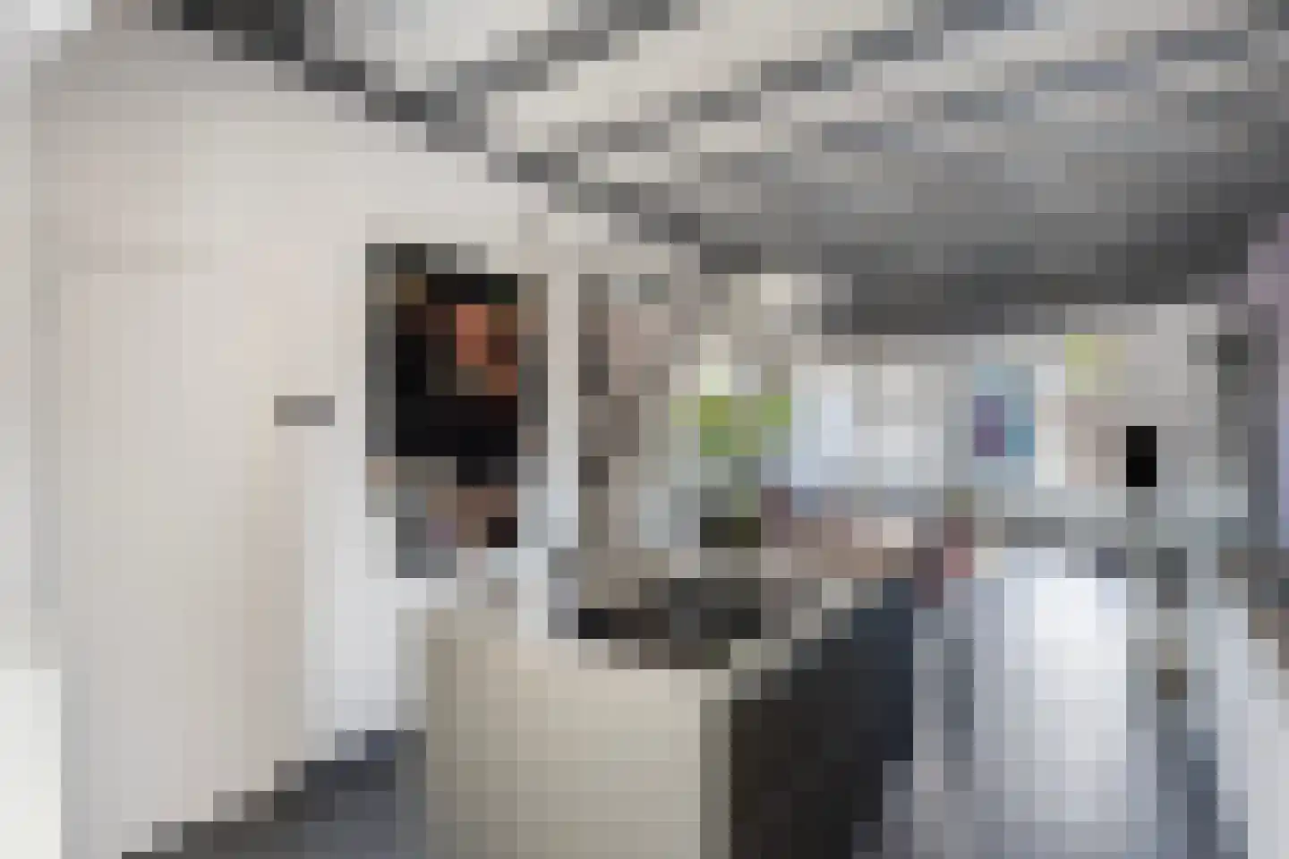 Van Karnebeekstraat 26 Zwolle thumbnail 27