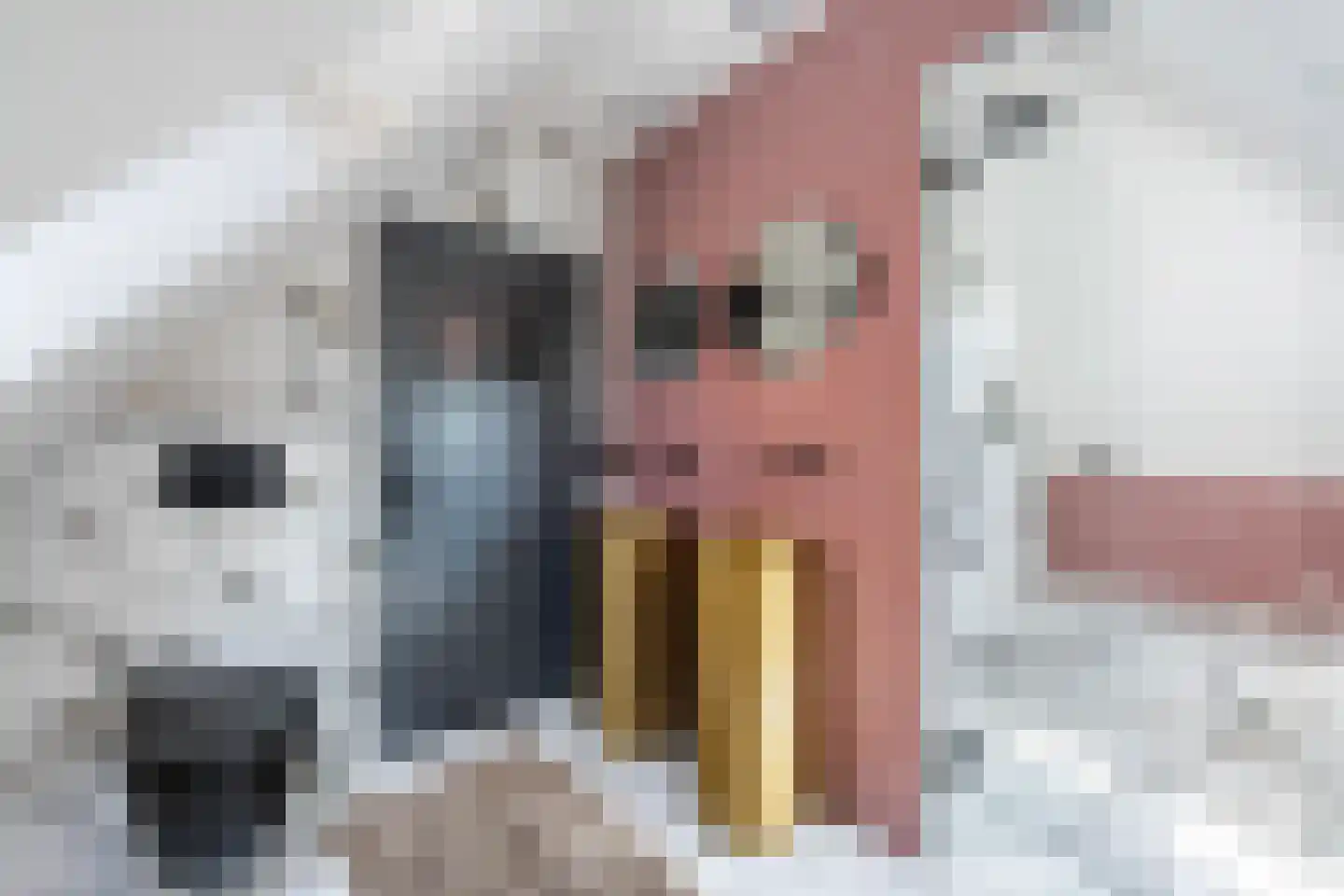 Van Karnebeekstraat 26 Zwolle thumbnail 37