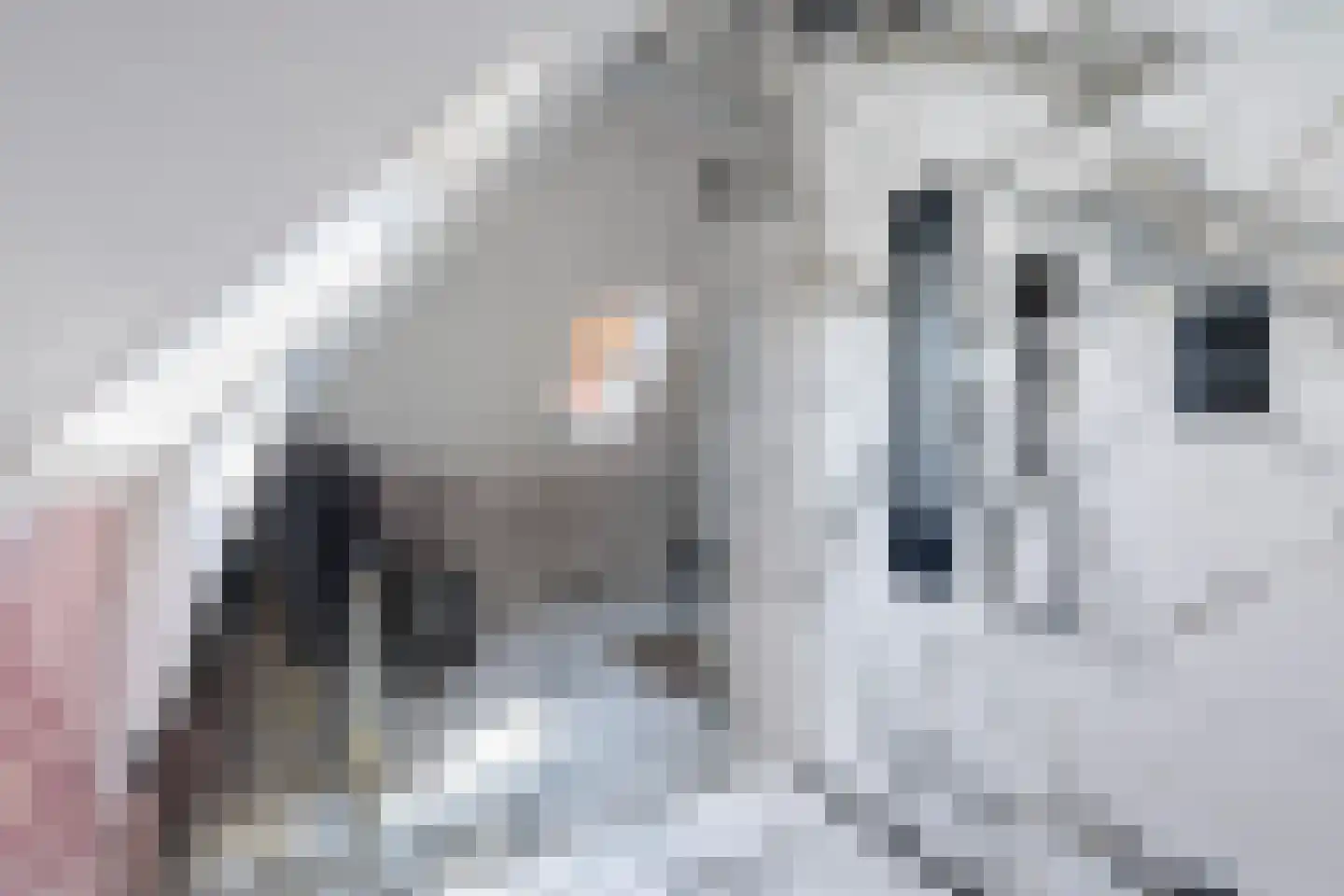 Van Karnebeekstraat 26 Zwolle thumbnail 39